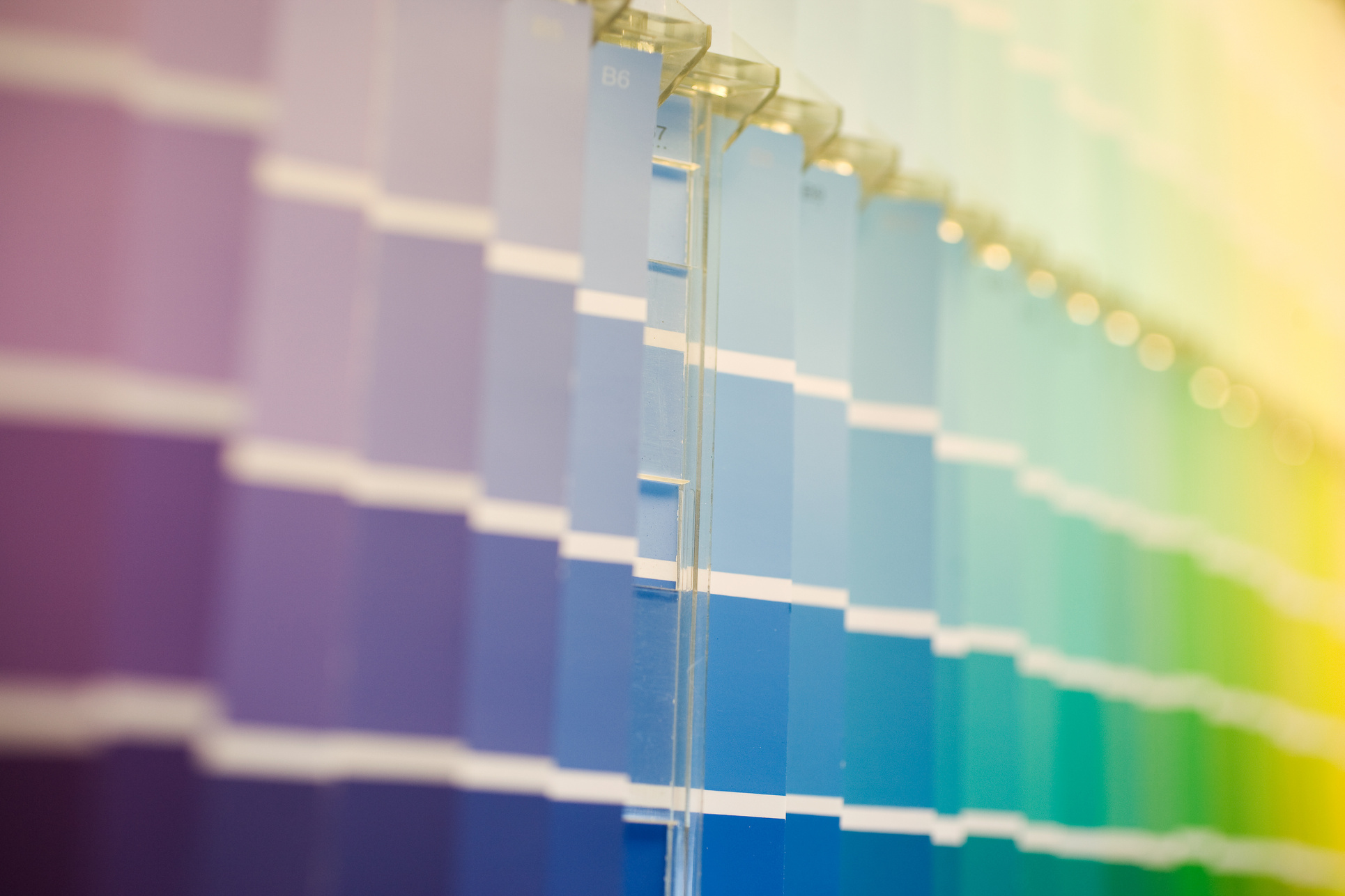 Paint samples in hardware store